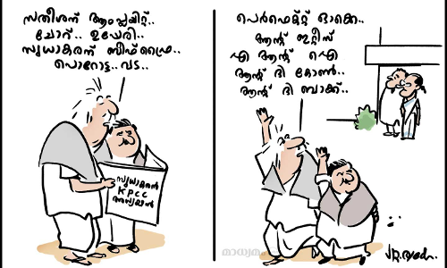 പെർഫെക്റ്റ് ഓക്കേ
