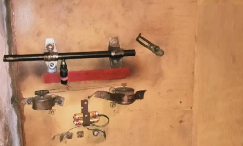 10 വർഷം പ്രണയിനിയെ മുറിയിൽ പൂട്ടിയിട്ടു; പാലക്കാ​ട്ടെ വിചിത്ര ജീവിതം​ വിശ്വസിക്കാനാവാതെ നാട്ടുകാർ