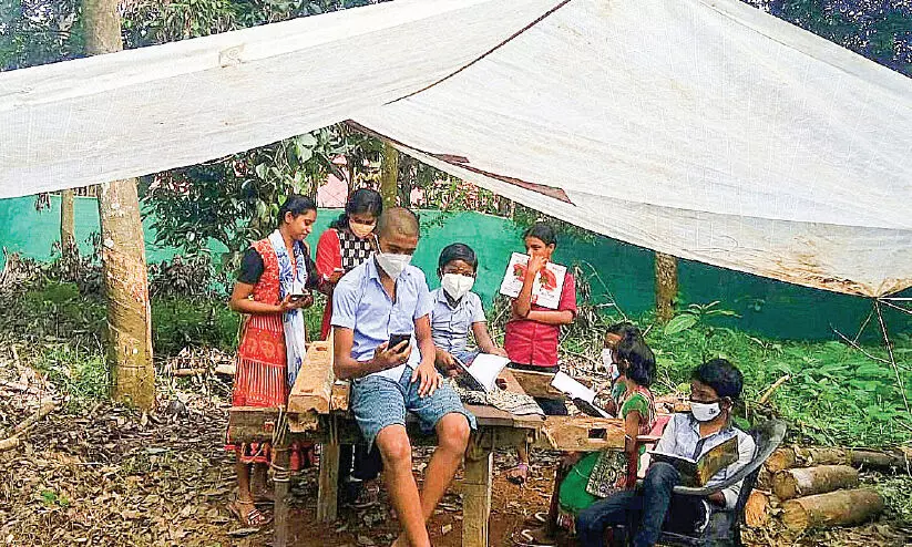 students-online study