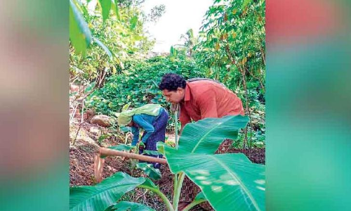 തരിശുഭൂമിയെ പച്ചപുതപ്പിച്ച് യുവകർഷകർ