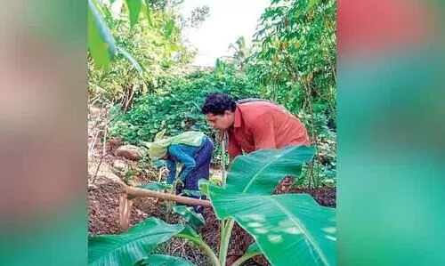 തരിശുഭൂമിയെ പച്ചപുതപ്പിച്ച് യുവകർഷകർ
