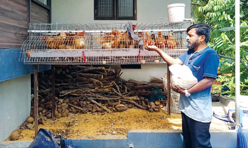 താളങ്ങൾ തകിടം മറിച്ചു; കോഴികർഷകനായി ശ്രീരേഷ്