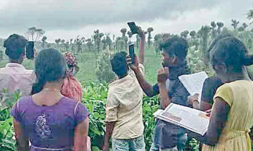 ഒാൺലൈൻ വിദ്യാഭ്യാസം: ഓഫ്​ലൈനായി തോട്ടം മേഖലയിലെ കുട്ടികൾ