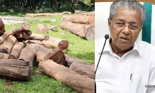 pinarayi vijayan tree cutting