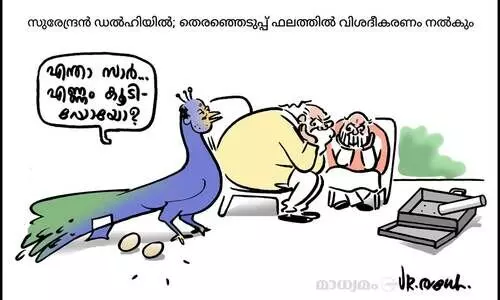 സുരേന്ദ്രൻ ഡൽഹിയിൽ
