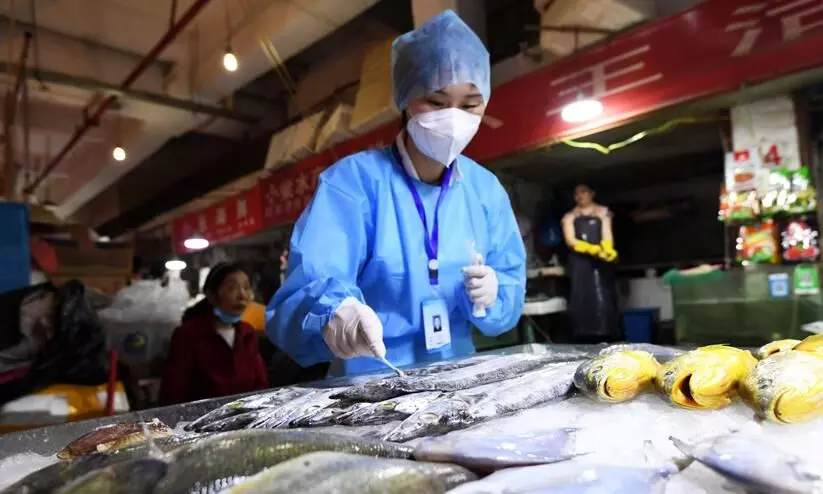 Covid 19 China suspends import of frozen seafood from 6 Indian firms