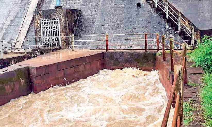ഡാമുകൾ തുറന്നു; കൃഷിയിടങ്ങൾ സജീവം ഡാമുകൾ തുറന്നു; കൃഷിയിടങ്ങൾ സജീവം