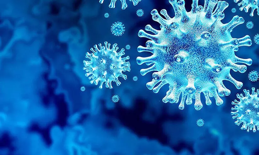 ഒമാനിൽ കോവിഡ് കേസുകളും മരണവും ഉയരാനിടയെന്ന് വിദഗ്ധർ ഒമാനിൽ കോവിഡ് കേസുകളും മരണവും ഉയരാനിടയെന്ന് വിദഗ്ധർ