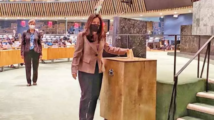 യു.എ.ഇക്ക്​ യു.എൻ രക്ഷാസമിതി അംഗത്വം