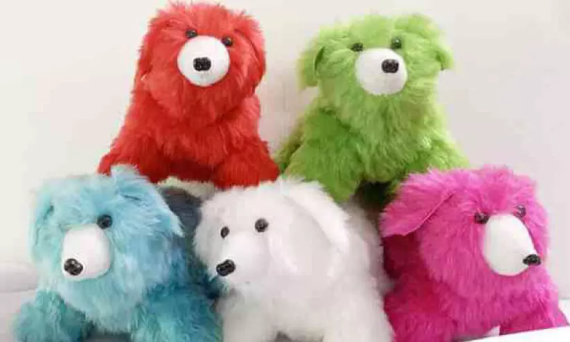 doll made by asha bhavan inmetes doll made by asha bhavan inmetes