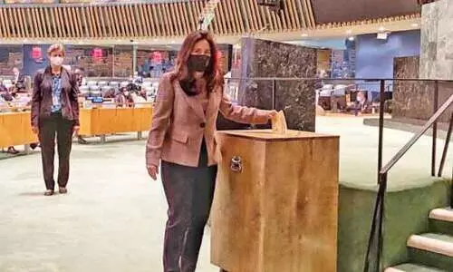 യു.എ.ഇക്ക്​ യു.എൻ രക്ഷാസമിതി അംഗത്വം