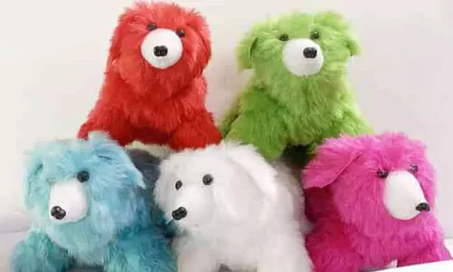 doll made by asha bhavan inmetes