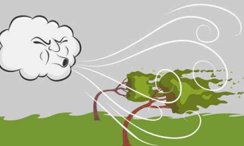 ജൂൺ 19 വരെ വടക്കുപടിഞ്ഞാറൻ കാറ്റ്