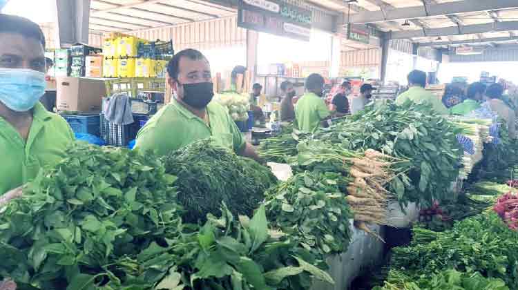 മഹാമാരിയിൽനിന്ന് ഉയിർത്തെഴുന്നേറ്റ് മിന പഴം–പച്ചക്കറി മാർക്കറ്റ് മഹാമാരിയിൽനിന്ന് ഉയിർത്തെഴുന്നേറ്റ് മിന പഴം–പച്ചക്കറി മാർക്കറ്റ്