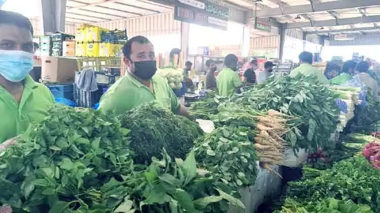 മഹാമാരിയിൽനിന്ന്​ ഉയിർത്തെഴുന്നേറ്റ്​ മിന പഴം–പച്ചക്കറി മാർക്കറ്റ്