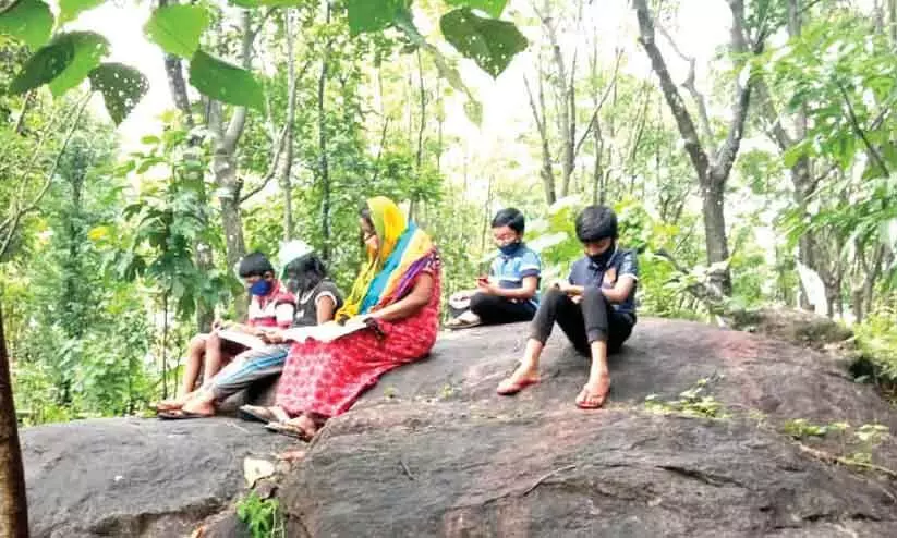 online study on cliff