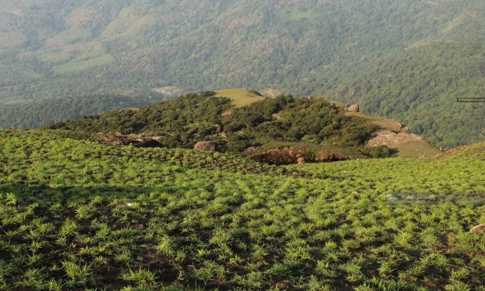 velliangiri mountains