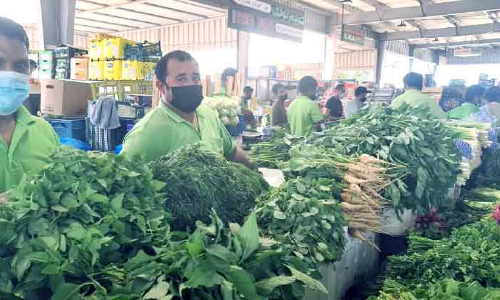 മഹാമാരിയിൽനിന്ന് ഉയിർത്തെഴുന്നേറ്റ് മിന പഴം–പച്ചക്കറി മാർക്കറ്റ് മഹാമാരിയിൽനിന്ന് ഉയിർത്തെഴുന്നേറ്റ് മിന പഴം–പച്ചക്കറി മാർക്കറ്റ്