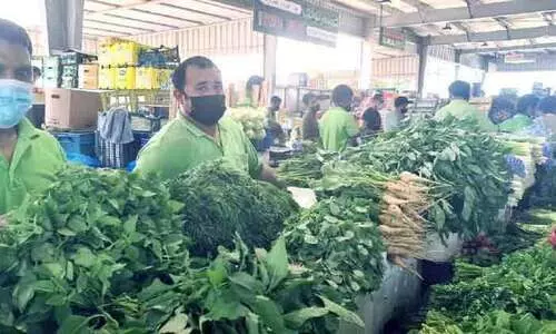 മഹാമാരിയിൽനിന്ന്​ ഉയിർത്തെഴുന്നേറ്റ്​ മിന പഴം–പച്ചക്കറി മാർക്കറ്റ്