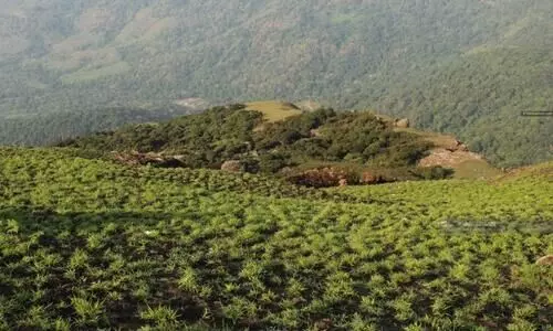 velliangiri mountains