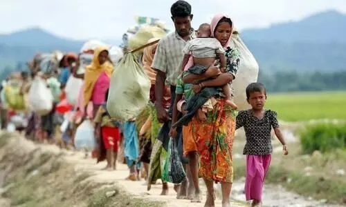 Rohingya