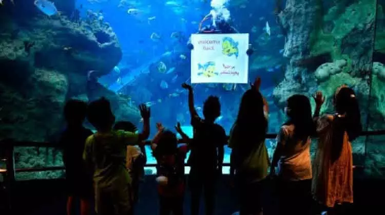 മ്യൂസിയങ്ങളും സാംസ്കാരിക കേന്ദ്രങ്ങളും പ്രവർത്തനമാരംഭിച്ചു മ്യൂസിയങ്ങളും സാംസ്കാരിക കേന്ദ്രങ്ങളും പ്രവർത്തനമാരംഭിച്ചു