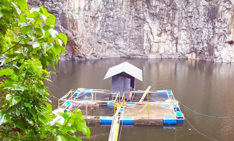 fish farming fish farming