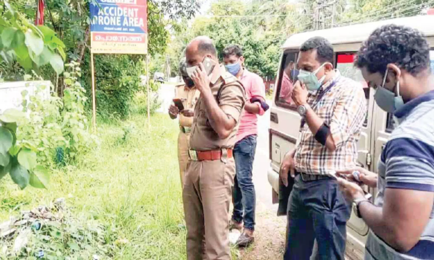 found cannabis plant in road side