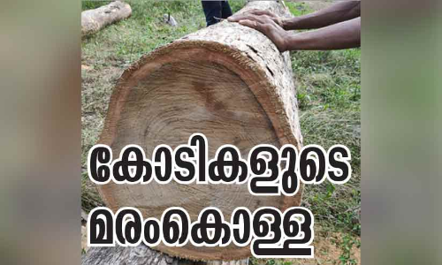 പ​ട്ട​യ ഭൂ​മി​യി​ൽ​നി​ന്ന്​ കോ​ടി​ക​ളു​ടെ മ​ര​ംമു​റി​  കുലുക്കമില്ലാതെ സി.പി.എം, സി.പി.​െഎ