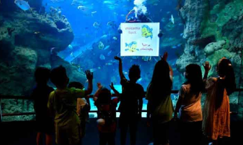 മ്യൂസിയങ്ങളും സാംസ്​കാരിക കേന്ദ്രങ്ങളും പ്രവർത്തനമാരംഭിച്ചു