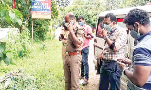 found cannabis plant in road side