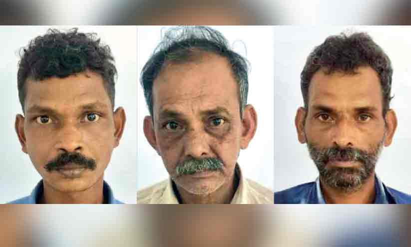 sunil babu. usman. mathew sunil babu. usman. mathew