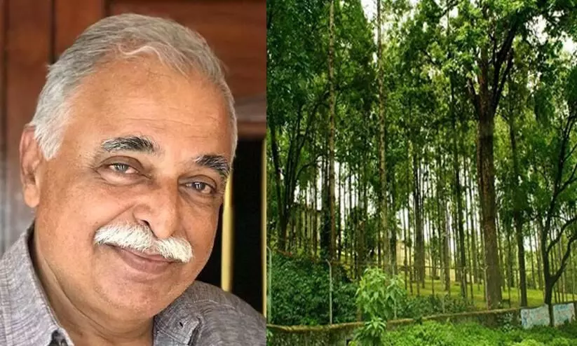 Tony Thomas Tony Thomas