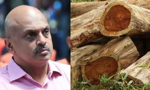 വിവാദ മരംമുറി: അ​ന്വേ​ഷ​ണം മൂ​ന്ന് മേ​ഖ​ല​ക​ളാ​യി തി​രി​ച്ച്; പു​തി​യ എ​ഫ്.​ഐ.​ആ​ർ ര​ജി​സ്​​റ്റ​ർ ചെ​യ്തു