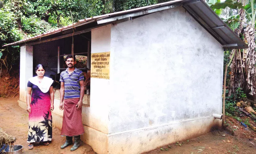 തൊഴിലുറപ്പ് പദ്ധതി പ്രകാരം തൊഴുത്തു നിർമിച്ച് രണ്ട് വർഷം കഴിഞ്ഞിട്ടും തുക ലഭിച്ചില്ല; കുടുംബം ദുരിതത്തിൽ തൊഴിലുറപ്പ് പദ്ധതി പ്രകാരം തൊഴുത്തു നിർമിച്ച് രണ്ട് വർഷം കഴിഞ്ഞിട്ടും തുക ലഭിച്ചില്ല; കുടുംബം ദുരിതത്തിൽ
