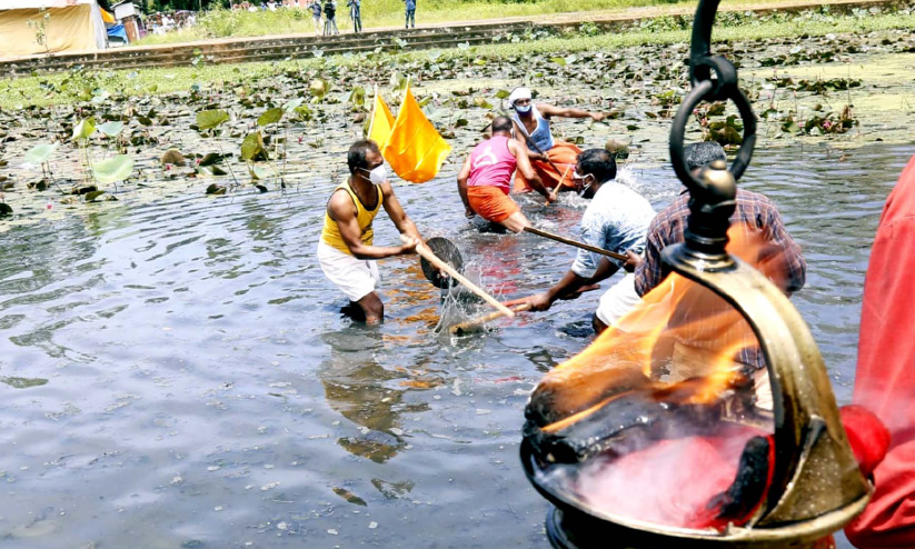 ochirakkali 16621 ochirakkali 16621