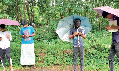 കൊടക്കാടൻചോല എപ്പോഴും ഓഫ്​ലൈനിലാണ്; േറഞ്ച് തേടിയലഞ്ഞ് വിദ്യാർഥികൾ