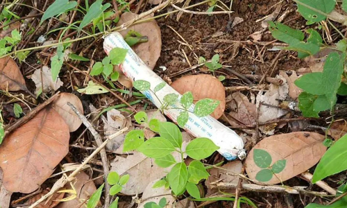 Pathanapuram Explosives Case