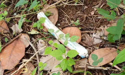 Pathanapuram Explosives Case