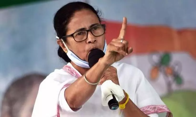 mamata mamata