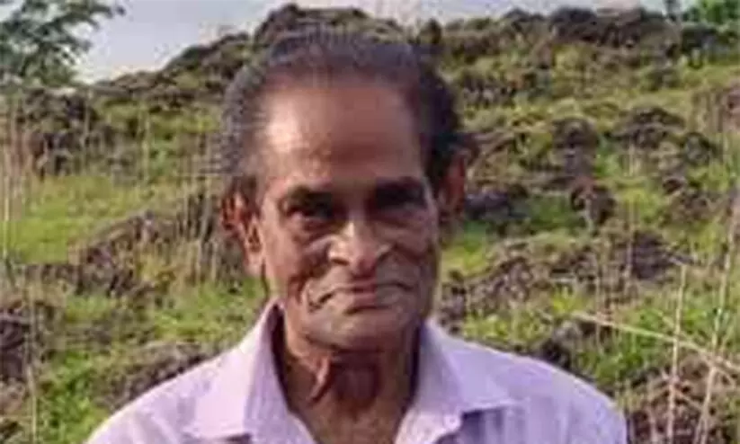 മാങ്ങ പറിക്കുന്നതിനിടെ വയോധികൻ ഷോക്കേറ്റ് മരിച്ചു