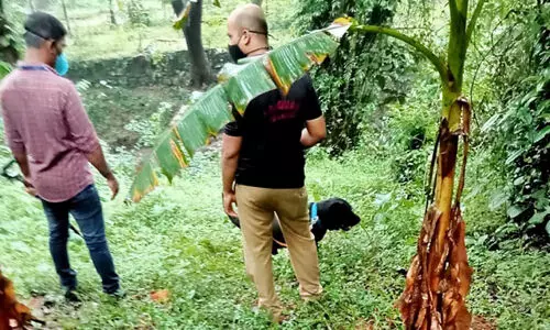 steel bomb-pattanippara