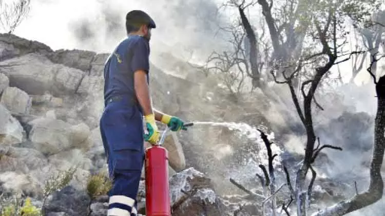 അൽ ഹംറ മേഖലയിലെ കാട്ടുതീ നിയന്ത്രണവിധേയമാക്കി