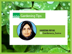 പണം കൊടുക്കാതെ വാങ്ങാം, ശുദ്ധമായ ഓക്​സിജൻ