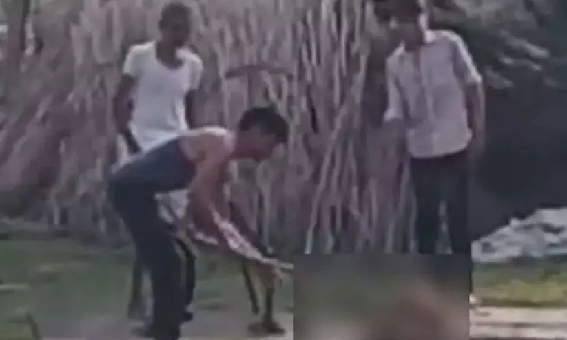 ആടിനെ കൊന്നെന്ന് സംശയം; യുവാക്കള്‍ നായയെ കാലുകള്‍ അറുത്തെടുത്ത് കൊലപ്പെടുത്തി