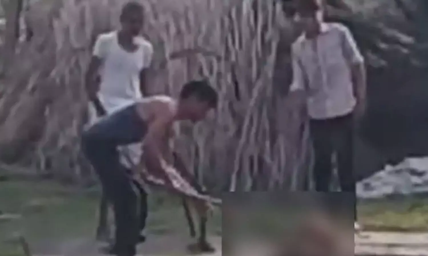 ആടിനെ കൊന്നെന്ന് സംശയം; യുവാക്കള്‍ നായയെ കാലുകള്‍ അറുത്തെടുത്ത് കൊലപ്പെടുത്തി