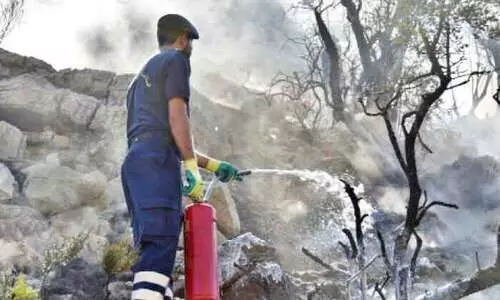 അൽ ഹംറ മേഖലയിലെ കാട്ടുതീ നിയന്ത്രണവിധേയമാക്കി