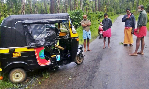 കാ​ട്ടാ​ന ഓ​ട്ടോ മ​റി​ച്ചി​ട്ടു; ര​ണ്ടു​പേ​ർ​ക്ക് പ​രി​ക്ക്