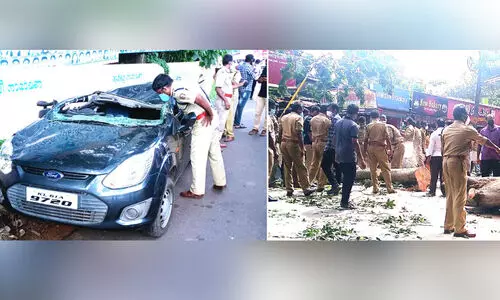 ഓടിക്കൊണ്ടിരുന്ന കാറിന് മുകളില്‍ വന്‍മരം കടപുഴകി​ ഒരാൾക്ക്​ പരിക്ക്​