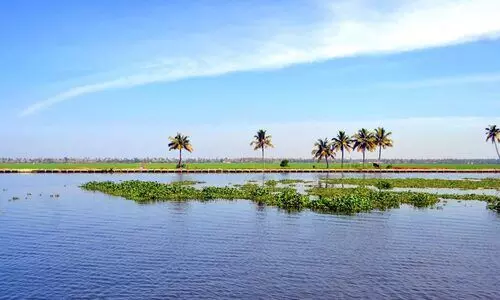 കുട്ടനാട് വികസനം: മേല്‍നോട്ടത്തിന്​ ജില്ലതല ഏകോപന സമിതി